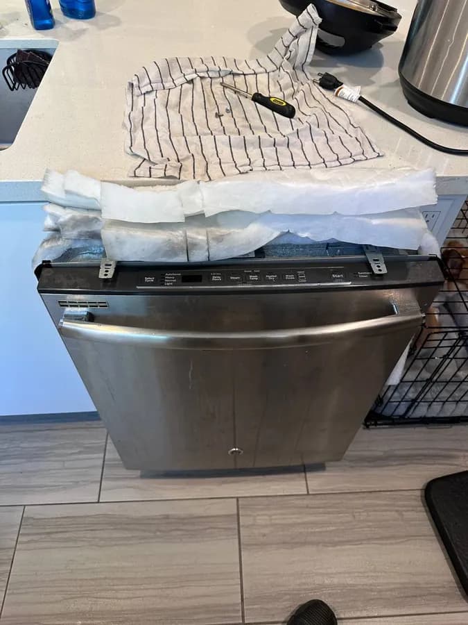 Built-in dishwasher diagnostics in San Diego
